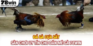 Đá Gà Cựa Sắt - Sân Chơi Uy Tín Cho Dân Mê Gà 78WIN