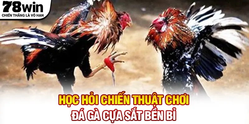 Học hỏi chiến thuật chơi đá gà cựa sắt bền bỉ