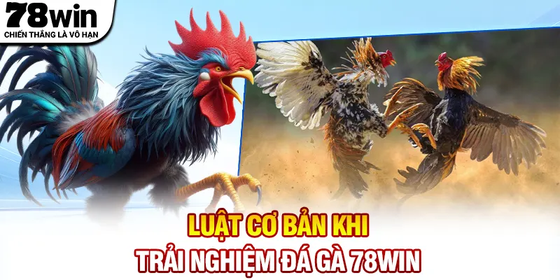 Luật cơ bản khi trải nghiệm đá gà 78WIN